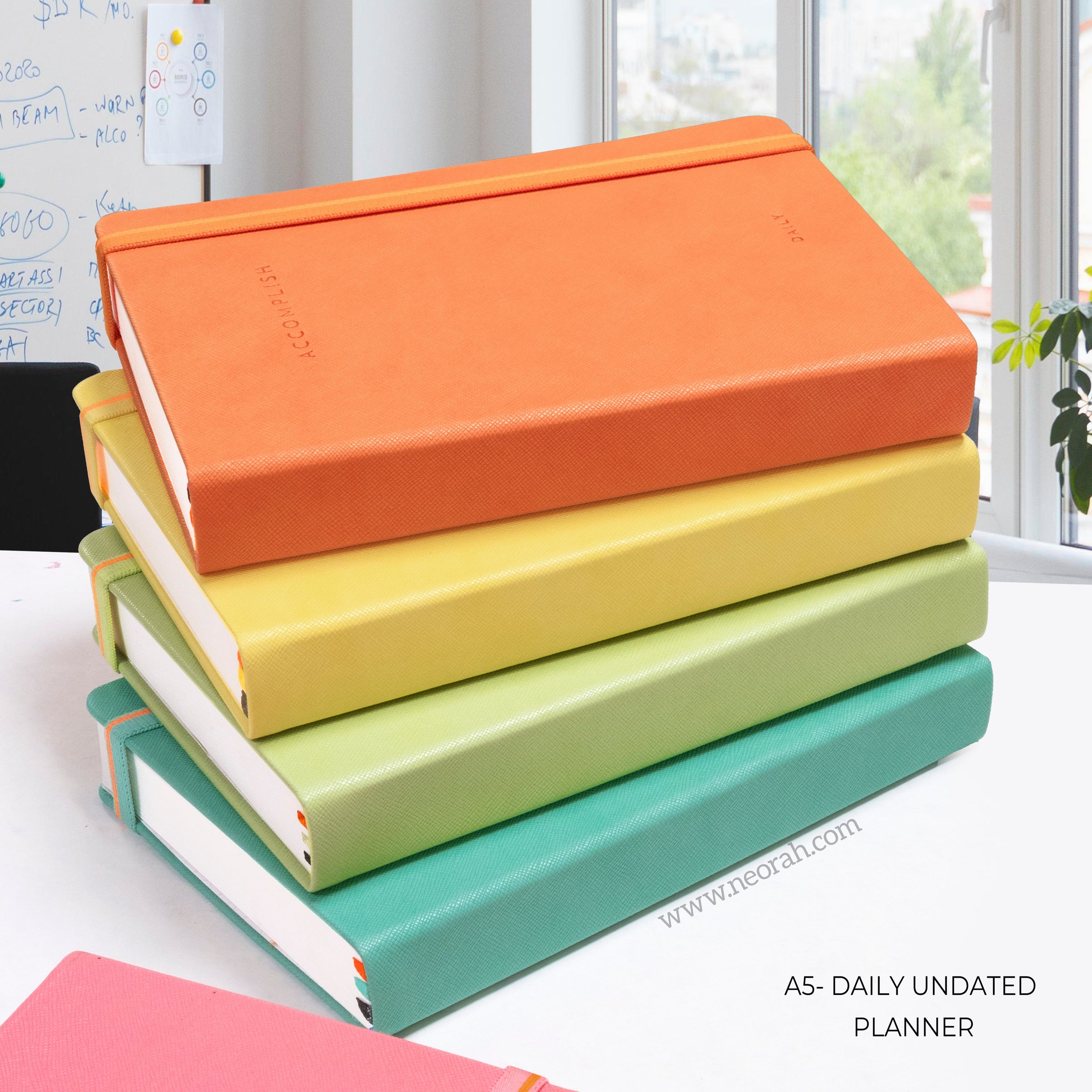 UNDATED ACCOMPLISH PLANNERS - DAILY