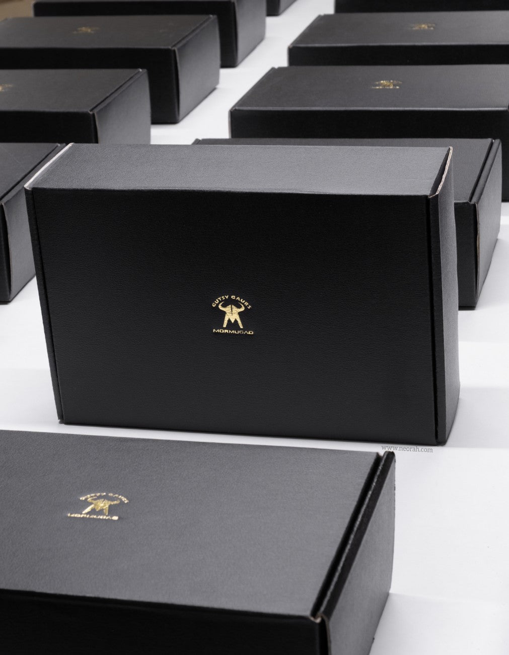 CUSTOMISED BOX LOGO : GOLD + BLIND EMBOSSING for INS Mormugao