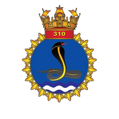 INDIAN NAVAL AIR SQUADRON 310 custom corporate gift logo