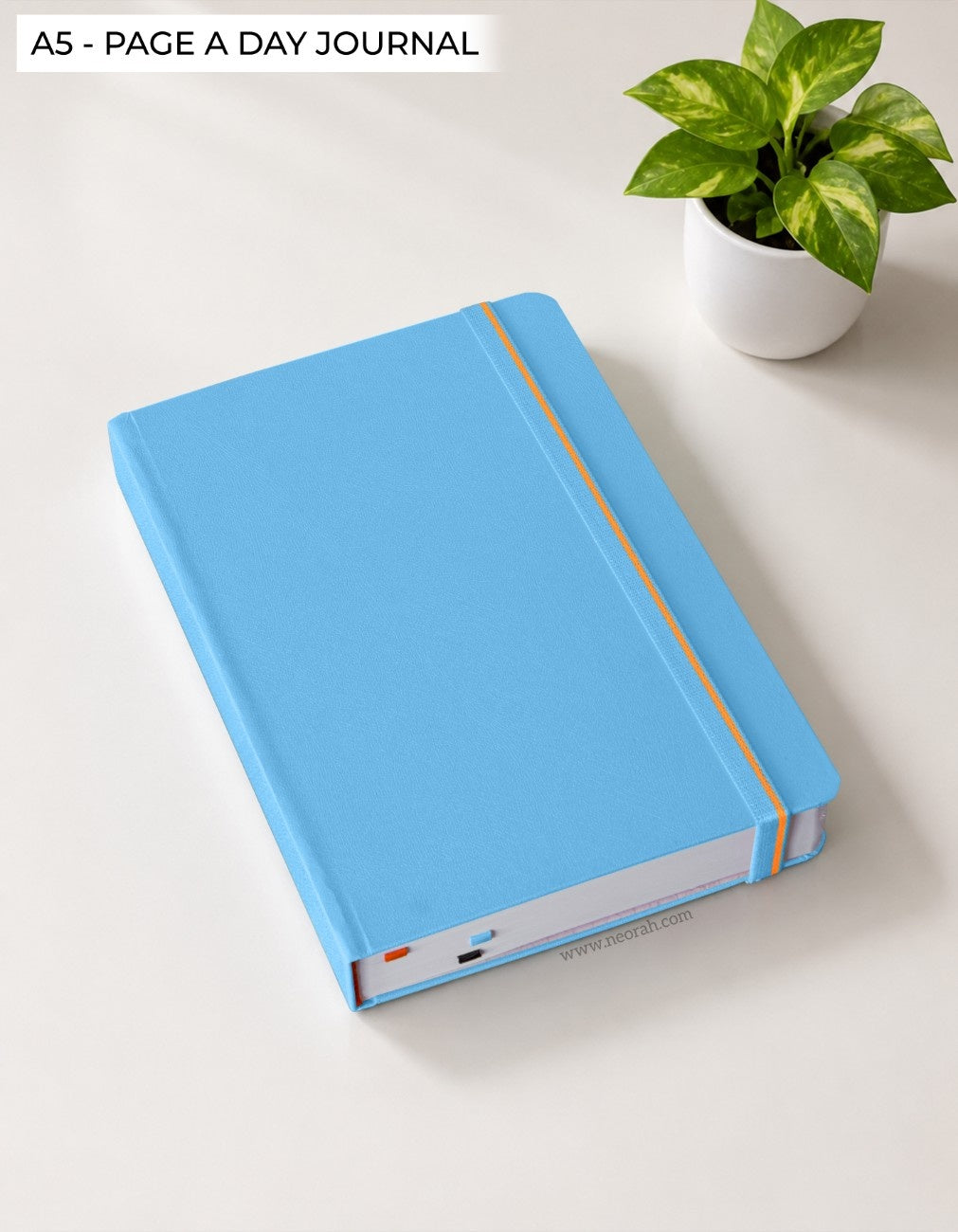 #color_light-blue